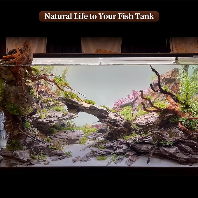 majoywoo Natural Large Driftwood for Aquarium Decor Reptile Decor, Assorted Spider Wood Branch 11-14" 2 Pcs, Fish Tank Decoration