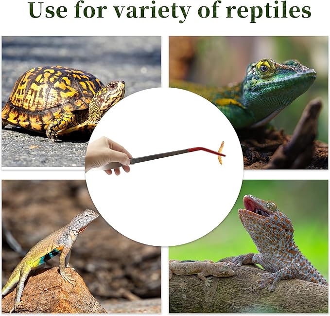 Reptile Feeding Tongs, Stainless Steel Lizard Feeding Tongs, Aquarium Straight Feeding Tweezers for Reptiles with Rubber Tip, Terrarium Feeding Tongs for Gecko, 10.63" L, Black