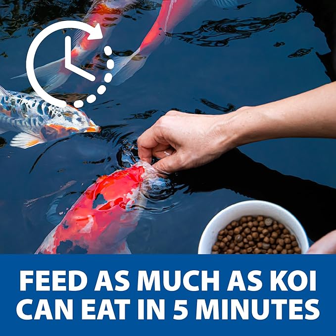 The Pond Guy Staple Fish Food for Backyard Koi & Goldfish, Choice Floating Pellets for Fish Wellness & Health, Smart Nutrition for Clean Ponds, 2 lbs