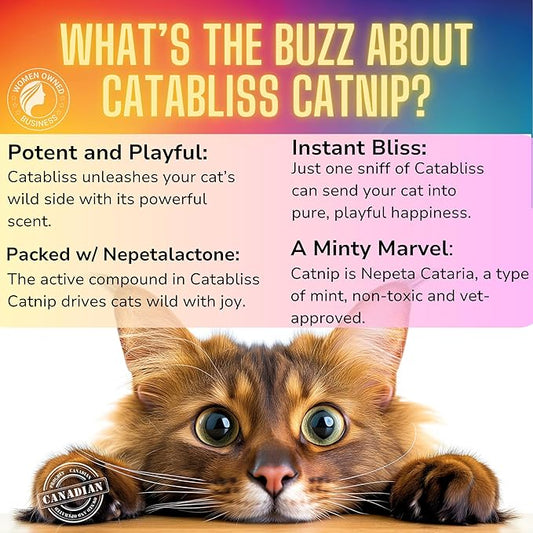 Catnip for Cats – 1oz Jar - 100% Essential Natural Cat Nip Herb Resealable Jar - Fresh Aroma Stimulates Activity & Enhancing Play for Indoor Cats - Great for Cat Nip Toys, Play & Training
