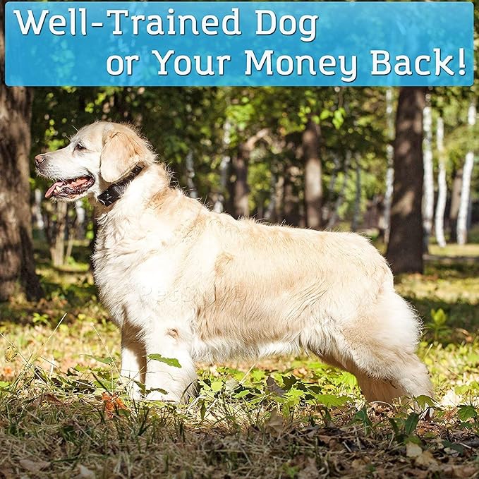 PetSpy Shock Collar for Dogs-Waterproof Dog Shock Collar with Remote Control,Vibration,Electric Shock,Beep-Rechargeable E Collar for Dogs Training, Dog Training Collar with Remote for Dogs 10-140 LBS