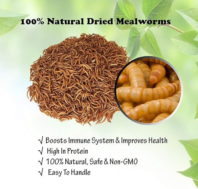 Amzey Appetizing Mealworms 22lbs-100% Non-GMO Dried Mealworms - High-Protein Meal Worm Treats -Perfect for Your Chickens,Ducks,Wild Birds,Turtles,Hamsters,Fish