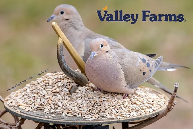Valley Farms Whole Sunflower Hearts for Birds 4 LB 2-Pack (8 LB Total), Sunflower Kernels Wild Bird Food, No Mess Wild Bird Seed for Outside Feeders, Sunflower Hearts Birdseed
