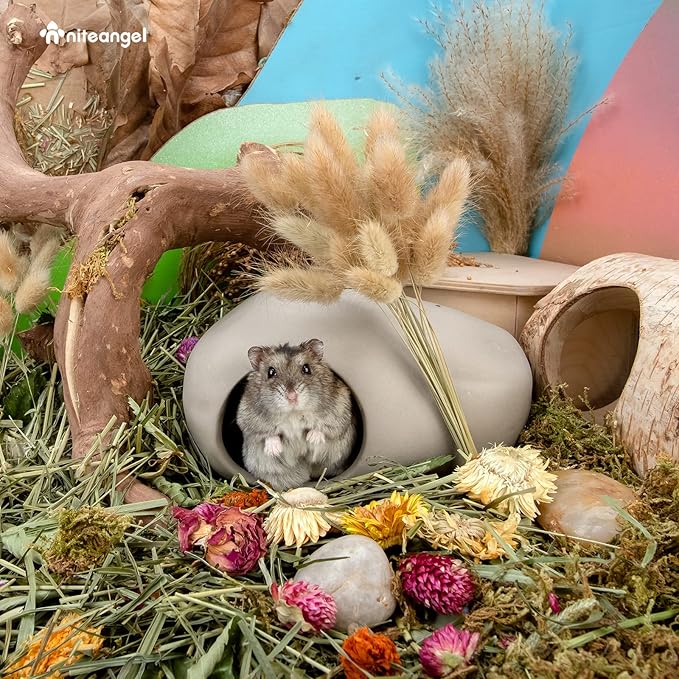 Niteangel Ceramic Hamster Habitat Hideout: - Hideaway House for Syrian Dwarf Hamster Mice Gerbils Lemmings or Other Similar-Sized Small Pet (Stone-Shaped - for Syrian)