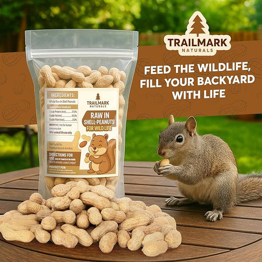 1 LB - Raw Peanuts For Squirrels, Raw In Shell Peanuts For Birds and Wildlife- Squirrel Food, Wild Bird Seed - Grown in The USA