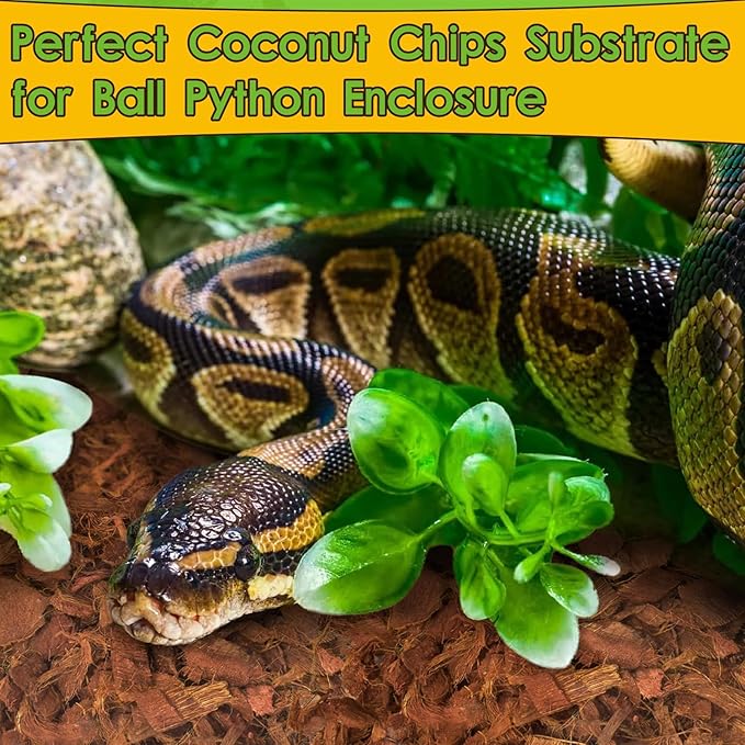 Halatool 6Pack Compressed Coconut Chips Brick Natural Coconut Husk for Reptiles Bedding Coco Coir Chips Terrarium Substrate for Ball Python Frog Snake Gecko Hermit Crab Tortoise