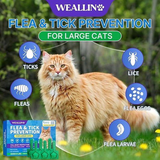 Flea and Tick Prevention for Large Cat, Fleas and Ticks Treatment for Cats Over 9 lbs, Topical Cat Flea Treatment, Fast-Acting & Long-Lasting Fleas Control for Cats, 6-Dose Supply