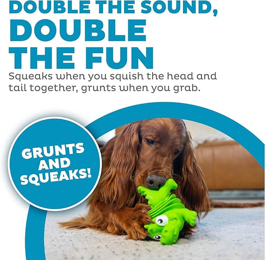 Outward Hound Accordionz Latex Rubber Squeaking Toy - Squeaky and Grunting Dog Toy, Alligator