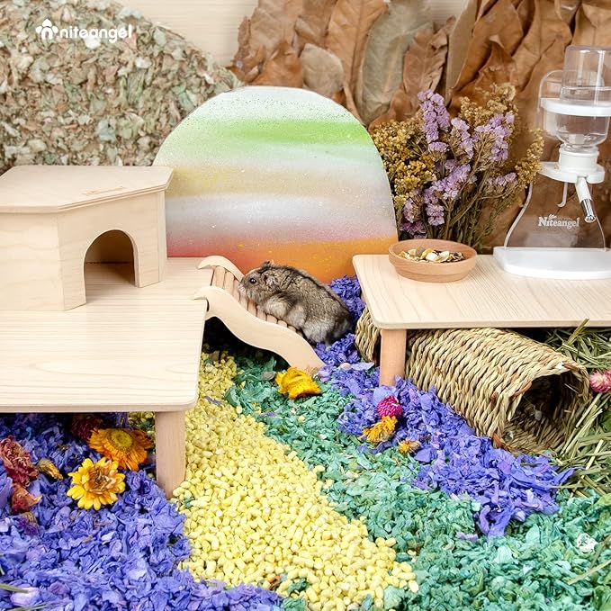 Niteangel Hamster Play Wooden Platform for Dwarf Syrian Hamsters Gerbils Mice Degus or Other Small Pets (11.8 L x 8.2 W - 5.9'' Height, Burlywood)