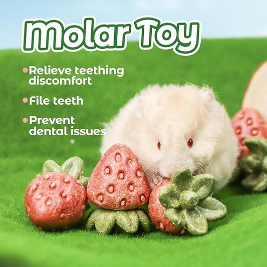 TEEWY Guinea Pig Toys, 4PCS Strawberry Shaped Hamster Toys, Natural Guinea Pig Chew Toys for Teeth Grinding, for Hamster, Gerbil, Chinchilla, Rat