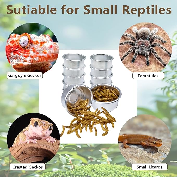 Tfwadmx 12Pcs Gecko Feeding Cups, 0.5oz Metal Reptile Food Cups, Crested Gecko Food Dish, Feeding Ledge Accessories for Small Lizards, Tarantulas