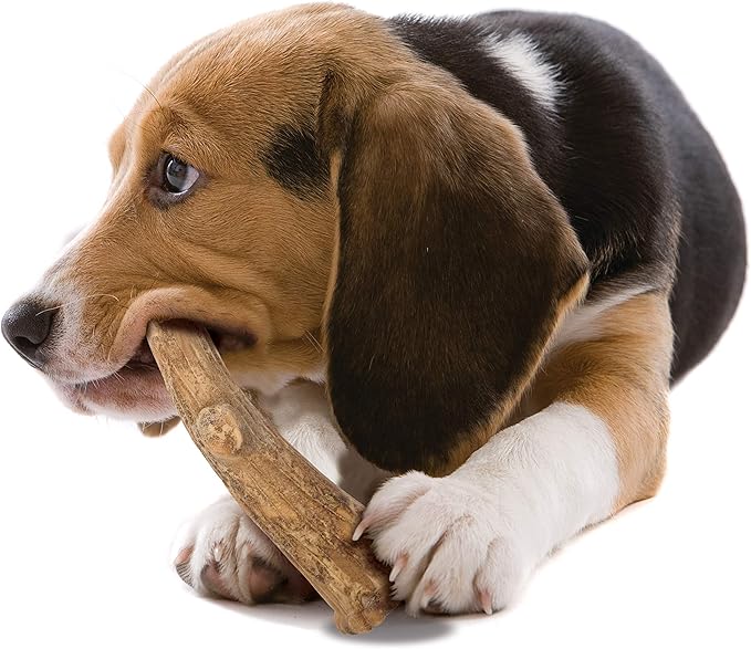 Nylabone Healthy Edibles WILD Natural Dog Chew Treats for Large Dogs, Long Lasting Dog Healthy Chew Antler Bone Made in USA, Venison Flavor, For Dogs Up to 50 lbs. (2 Count)