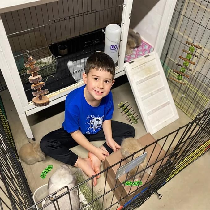 5pcs Rabbit Toys,Bunny Chew Treat for Teeth Grinding,Hanging Timothy Hay Ball +Apple Stick Wood +Alfalfa Grass Cake Food Snack for Cage Guinea Pig Chinchilla Hamster Squirrel Gerbil Rat Parrot