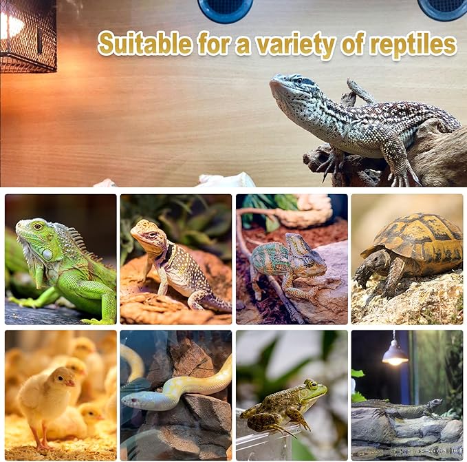 MIXJOY 100W Reptile Heat Lamp Bulbs, 2Pack Heat Lamp Bulbs for Reptiles Basking Bulbs UVA Daylight Basking Light Amphibians Heating Lamp Emitter for Lizard, Tortoise, Bearded Dragon Gecko, Chicken