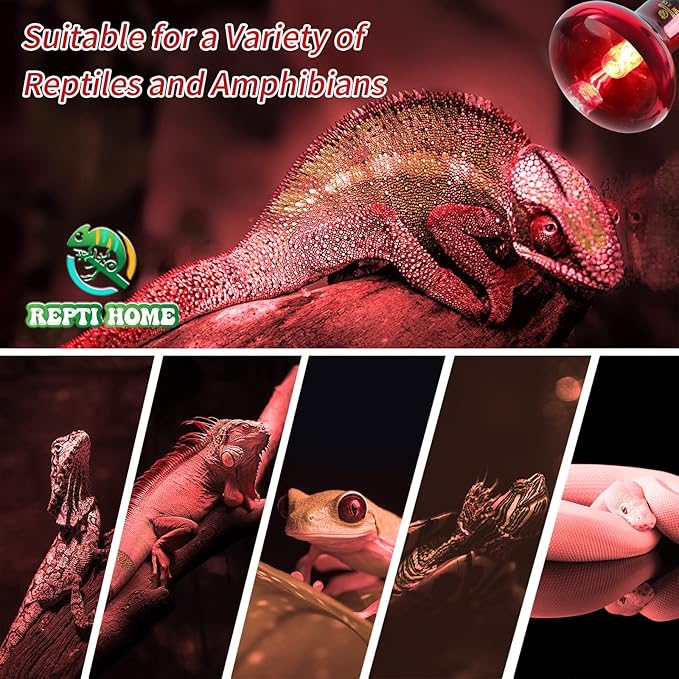 Reptile Heat Lamp Bulbs, Infrared 75W Reptiles & Amphibians Basking Spot Lamp Bulb-2 PCS, Red Heat Emitter Light for Chickens Coop
