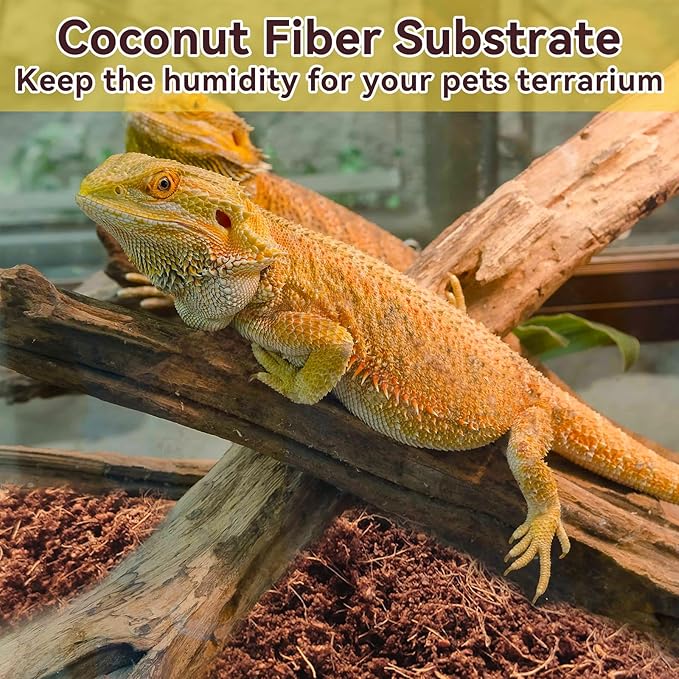 Legigo 2 Pack Compressed Coconut Fiber Substrate - 100% Organic Coconut Fiber Brick Bedding for Reptiles, Natural Coco Husk Substrate Terrarium Bedding for Snake, Hermit Crabs, Frogs, Tortoise, Gecko