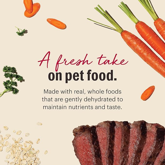 The Honest Kitchen Dehydrated Whole Grain Beef Dog Food, 7 lb Box, 7.00 Pound (Pack of 1)