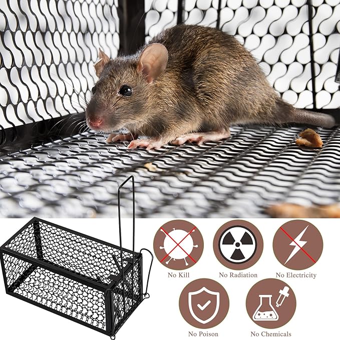 Qualirey 4 Pcs Humane Rat Trap Chipmunk Rodent Mouse Squirrel Trap Small Live Animal Mouse Voles Hamsters Live Cage Rat Cage for Mice Easy to Catch and Release (Black)