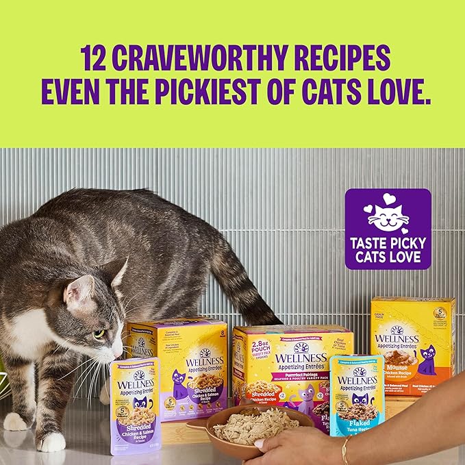 Wellness Appetizing Entrées Mousse, Adult Wet Cat Food, Natural, Protein-Rich, Grain-Free, 2.8 Ounce Pouch, 8 Pack, (Chicken & Turkey Recipe)