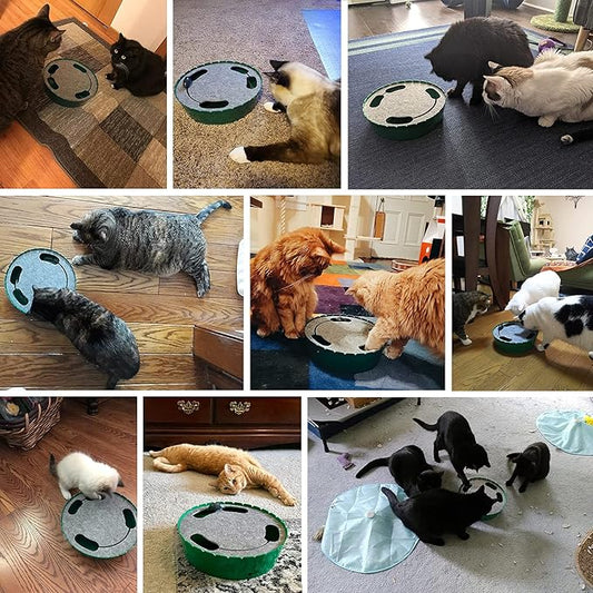 Pawaboo Interactive Cat Toy With Running Mouse, Electronic Motion Automatic Teaser for Indoor Cats, Pop and Play Hide Seek Hunting Mouse for Pet Kitten Play Fun Exercise, Purple