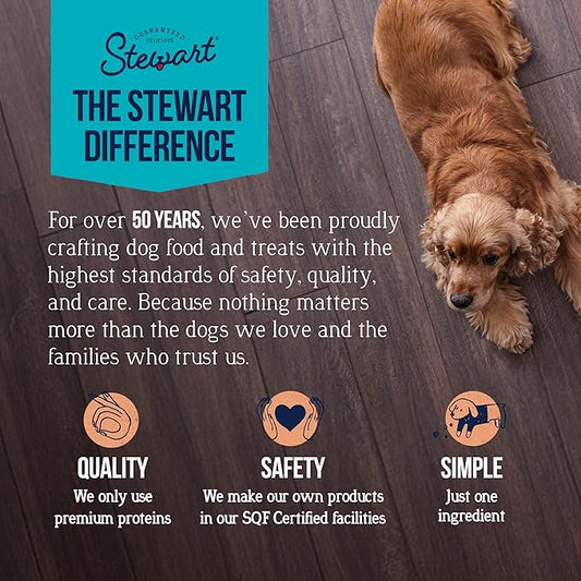 Stewart Single Ingredient Freeze Dried Raw Dog Treats, Wild Salmon, 9.5 Ounce, Approx. 190 Pieces per Resealable Tub, Training Treats or Meal Topper, High Protein, Grain Free, Gluten Free