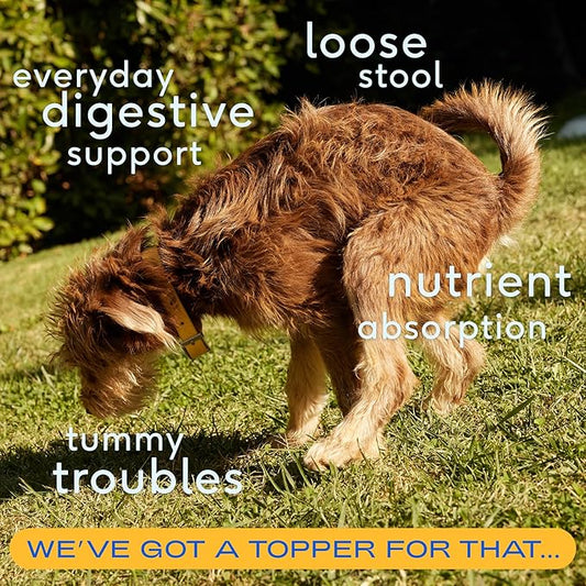 Native Pet Pumpkin for Dogs - Organic Powder Pumpkin Puree Dog Food Toppers -Rich in Fiber Supplement Powder Helps with Digestion, Nutrient Absorption, Diarrhea, Constipation & Upset Stomach-60 Scoops