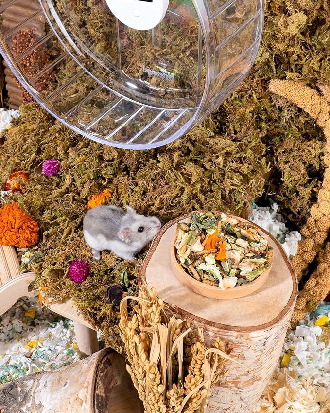 Niteangel Hamster Food & Treats Toy - Small Animal Natural Food for Syrian Golden Dwarf Robo Hamsters or Other Small-Sized Pets