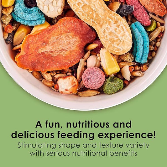 Kaytee Fiesta Mouse & Rat Food, Nutritious and Fun Blend, Supports Dental Health and Digestion, 4.5 pounds