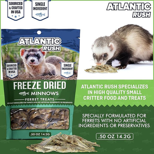 Freeze Dried Small Pet Treats - Resealable Bag of Treats for Ferrets - Ferret Snacks - Single Ingredient Ferret Food With No Preservatives Or Fillers- Small Animals Treats (.5oz, Minnow)