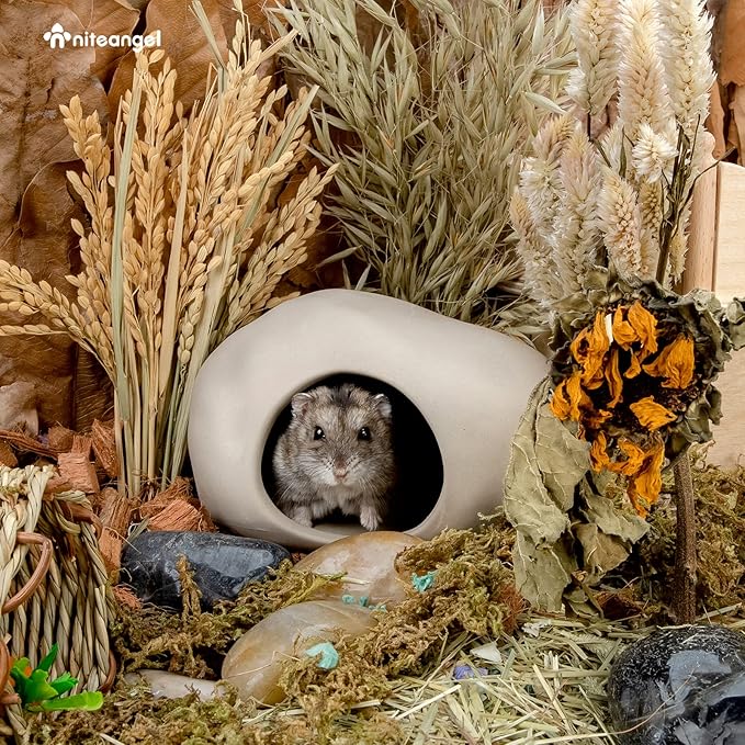 Niteangel Ceramic Hamster Habitat Hideout: - Hideaway House for Syrian Dwarf Hamster Mice Gerbils Lemmings or Other Similar-Sized Small Pet (Stone-Shaped - for Dwarf)
