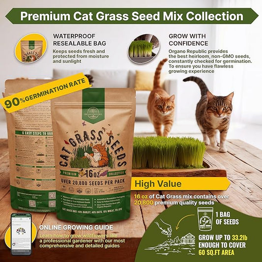 Organo Republic Cat Grass Seeds Mix - 20,800 Non-GMO Heirloom Seeds for Cats & Pets, 16 oz Pack for Growing Fresh Barley, Oat, Rye & Wheat Grass Seeds for Planting, Indoor Plants, Hairball Remedy