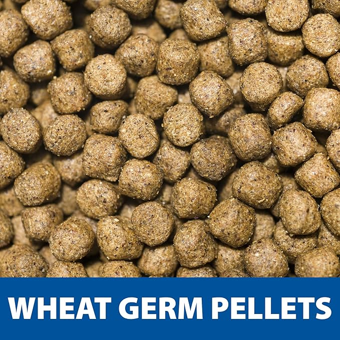 The Pond Guy Spring & Fall Wheat Germ Fish Food for Koi & Goldfish, Premium Cold Weather Floating Pellets, Healthy Formula for Winter Nutrition, 12 lbs