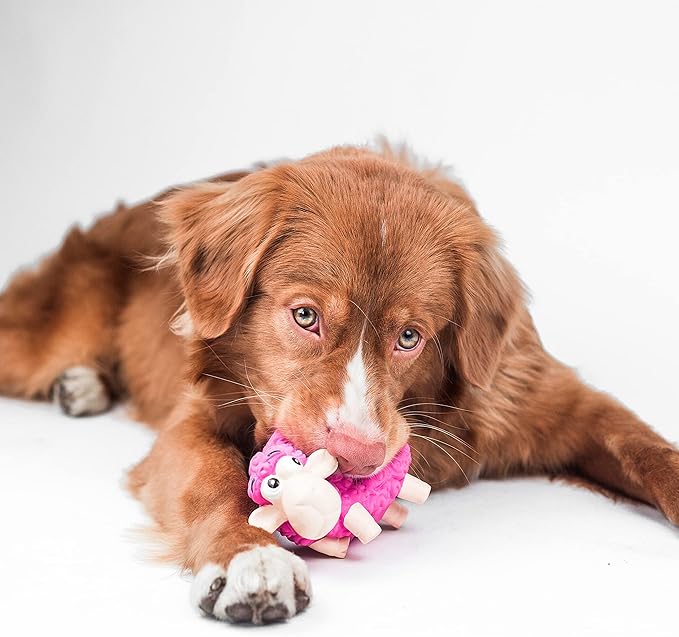 Outward Hound Tootiez Sheep Grunting Latex Rubber Dog Toy, Small