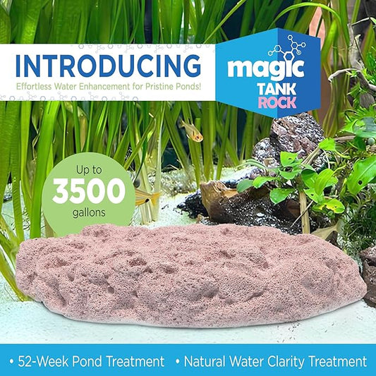 Fish Tank Rocks for Enhancing Water Clarity with Your Regular Cleaning Routine, Fish Friendly Aquarium Rocks, All Natural Aquarium Decor - Large - Covers Upto 3500 Gallons