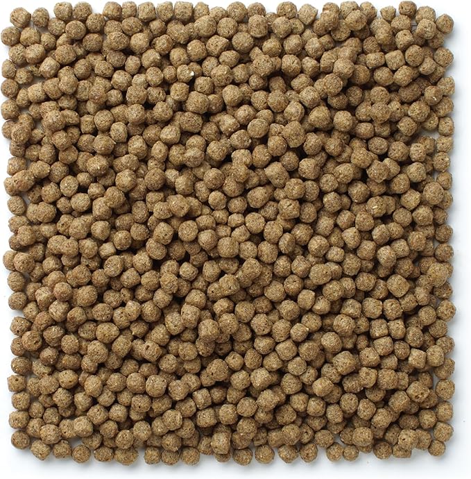 Mazuri Koi Floating Pond Nuggets, Floating Koi Fish Food for Ponds, 20 lbs