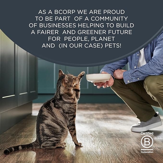 Reveal Natural Cat Treats, 6 Count Single Ingredient Treat for Cats, Grain Free, Whole Salmon Loin, 1.06 oz Bags