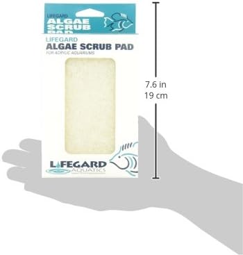 Lifegard Aquatics 4-Inch by 6-Inch White Algae Pad