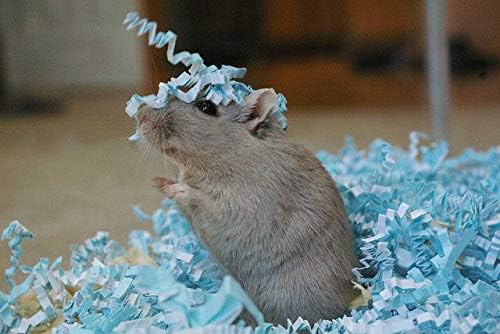 ECO BEDDING 99% Dust Free Paper Bedding for Small Pets and Birds, Blue, 3 lb (Expands to 60 L)