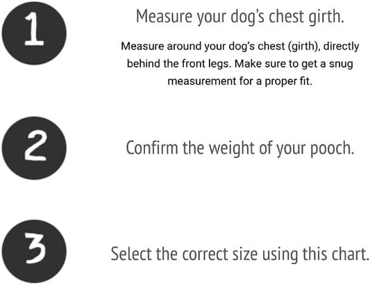 BUDDY BELT Harness Pebble Grain Blue - Premium Edition (2.5)