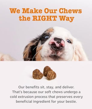 Zesty Paws Probiotics for Dogs - Digestive Enzymes for Gut Flora, Digestive Health, Diarrhea & Bowel Support - Clinically Studied DE111 - Dog Supplement Soft Chew for Pet Immune System - Pumpkin