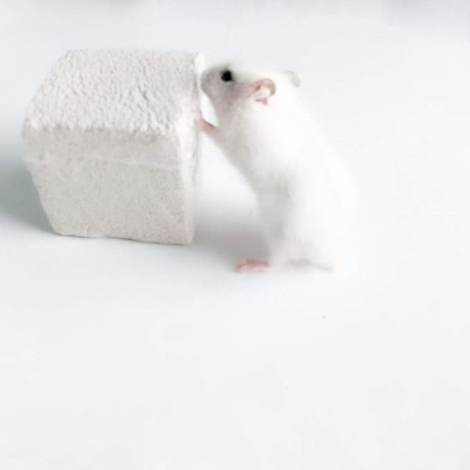 Hamiledyi Hamster Chew Toy Lava Teeth Grinding Square Stone for Hamsters Chinchillas and Rabbits Mineral Stone Calcium Chew Toy for Small Animal(Pack of 10)