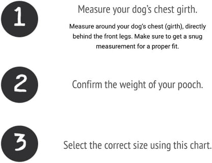 BUDDY BELT Harness Pebble Grain Blue - Premium Edition (3.5)