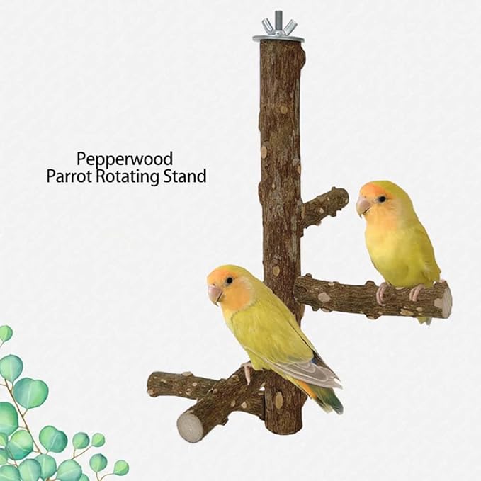 Bird Perch Stand Toy, Natural Wood Parrot Perch Bird Cage Branch Perch Accessories for Parakeets Cockatiels Conures Finches Lovebirds (M)
