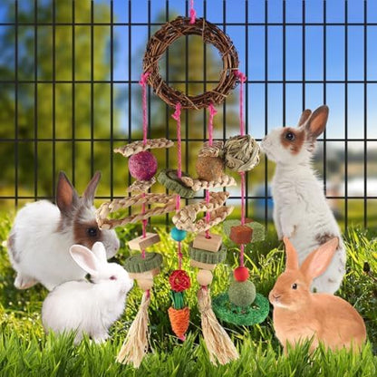 Rabbit & Guinea Pig Toys - Hamster & Bunny Toys - Natural Timothy Hay & Apple Wood Sticks - Chinchilla Teeth Care - Handmade Dream Catcher