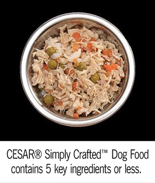 Cesar Simply Crafted Adult Wet Dog Food Meal Topper, Variety Pack, 1.3 oz Tubs (24 Count, Pack of 1)