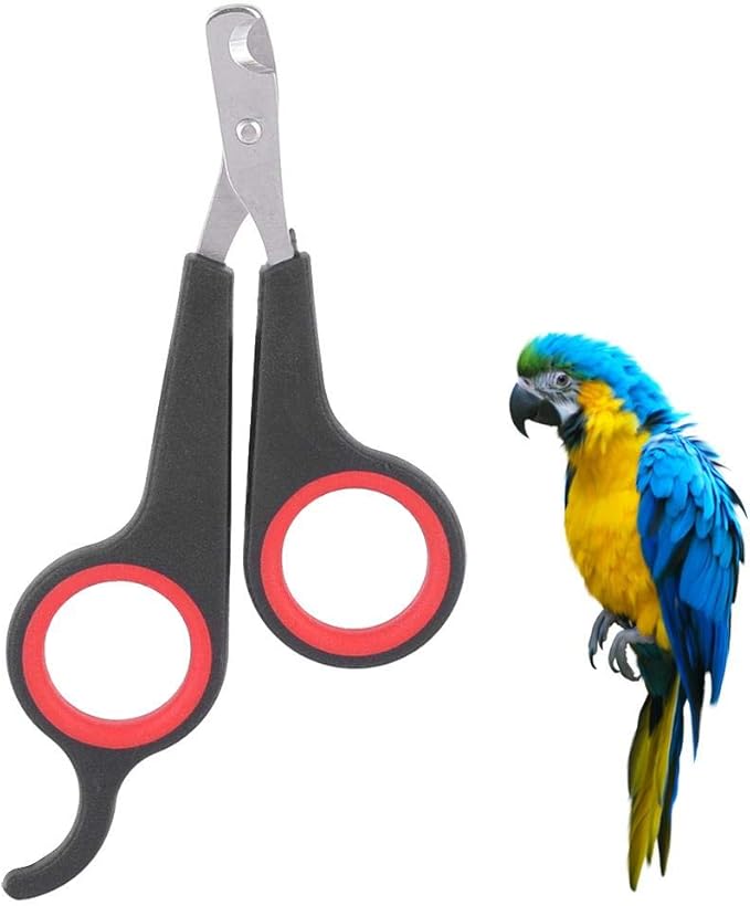 Bird Nail Clipper Grooming Tool Nail Scissors Clipper Pet Bird Parrot Small Animals Accessory for Small Parrot Birds