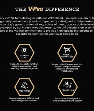 VICTOR Super Premium Dog Food – Purpose Hero Canine Kibble – Premium Gluten Free Dog Food for Active Adult Dogs – High Protein with Glucosamine and Chondroitin for Hip and Joint Health, 30lbs