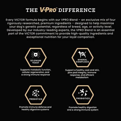 VICTOR Super Premium Dog Food – Hi-Pro Plus Dry Kibble – High Protein Dog Food with 30% Protein – Beef, Chicken, Pork, Fish Meals, Gluten Free - for High Energy and Active Dogs & Puppies, 50lbs