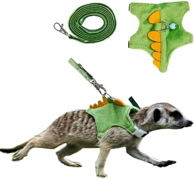Ferret Harness and Leash Set Small Animals Vest Harness with Safe Bell Dinosaur Shaped Walking Clothes for Baby Rabbit Guinea Pig Teacup Chihuahua Mouse and Other Small pet (Green)