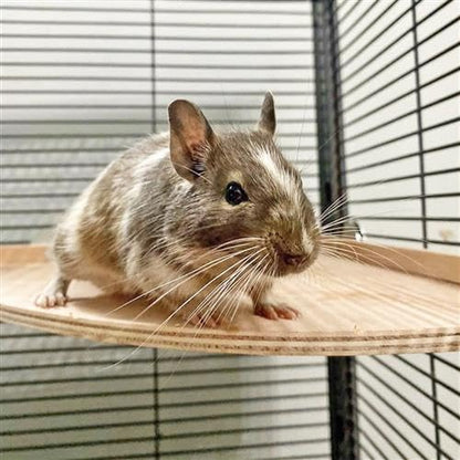 Wood Platform Set - 3 Pack Cage Accessory Shelves Assorted Sizes - for Chinchillas, Rats, Prairie Dogs, Degus, Ferrets, Birds, Sugar Gliders, Rabbits, Guinea Pigs, & Other Small Pets